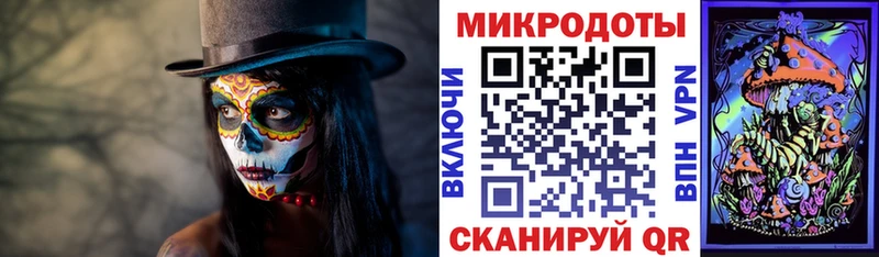 купить цена Истра Галлюциногенные грибы MAGIC MUSHROOMS