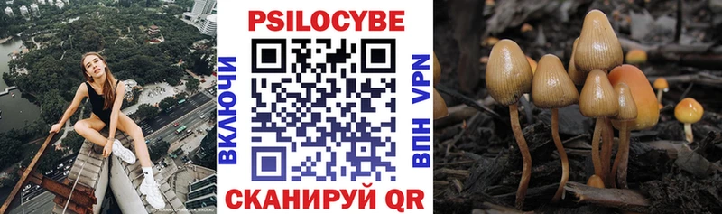 Псилоцибиновые грибы Psilocybine cubensis Истра